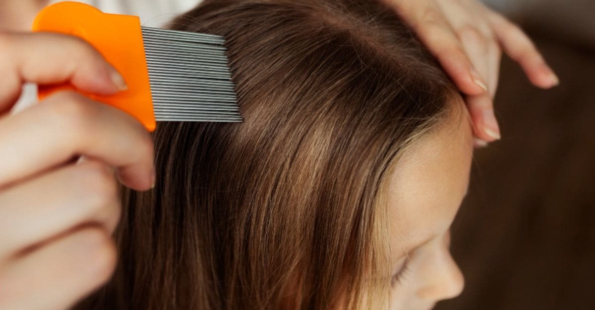 Hair Color Kill Lice